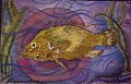 A gyotaku with a painted watercolor background.&nbsp; To see more of my gyotakus, go to the Gyotaku Page.