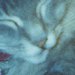 Kitty dreams