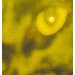 Yellow Moby