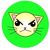 Join the Cult of the Angry Kitten!&nbsp; RAWR!